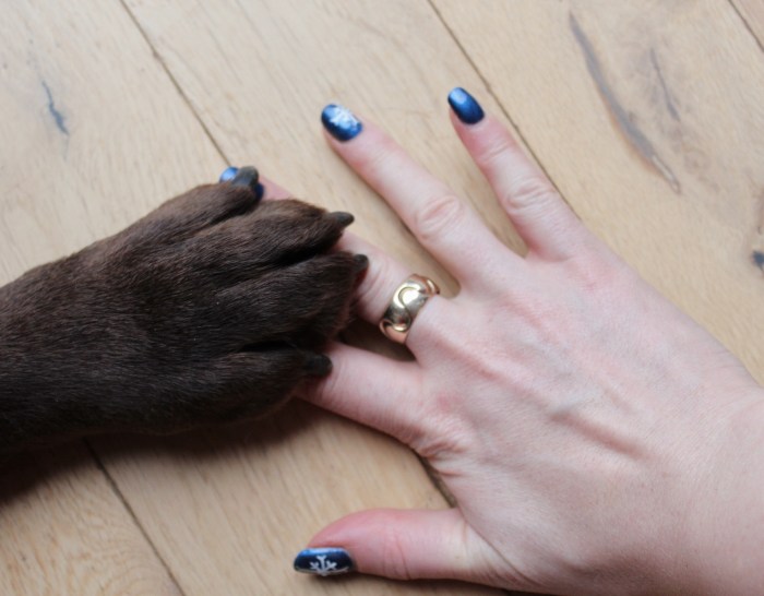 Snowflake nail art Labrador paw W=700 H=546 Snowflake-nail-art-tutorial-Labrador-paw