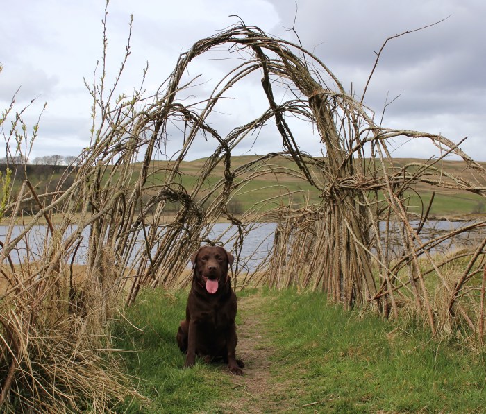 Carron-valley-reservoir-Scotland-jeans-outfit