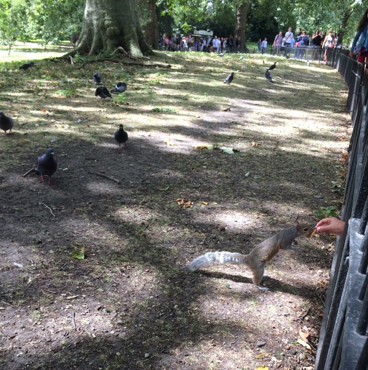 London-calling-long-weekend-travel-diary