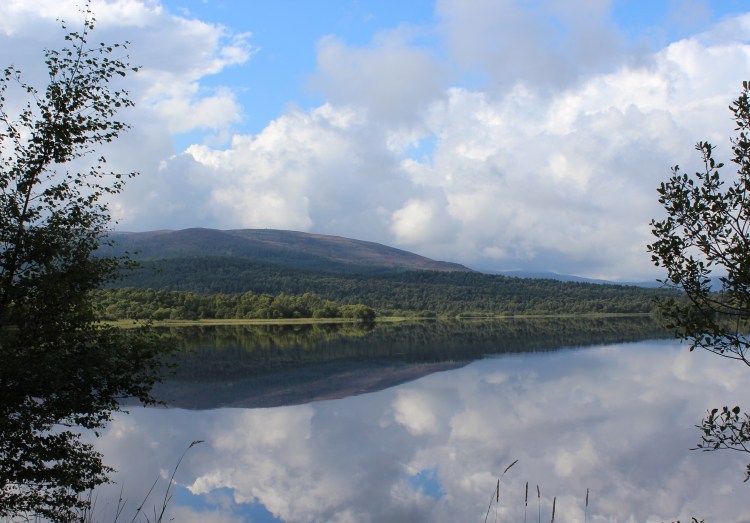 Living-in-a-Boxx-Cairngorms-log-cabin-loch-kinard