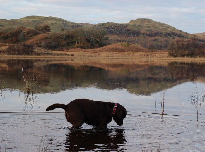 Living-in-a-Boxx-Scottish-weekend-away-Kirnan-cabin-Lochgilphead